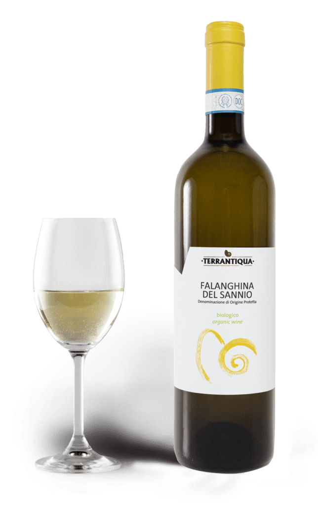 Falanghina Del Sannio Doc Biologico Terrantiqua It